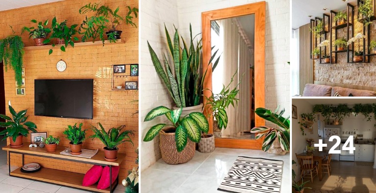 27 ideas para implementar plantas en la decoración de tu casa