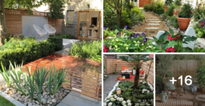 Lee más sobre el artículo 20 ideas de espacios verdes para patios pequeños