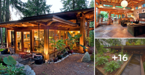 Lee más sobre el artículo Casa de madera con jardín en el techo, hermosa en estilo japonés contemporáneo