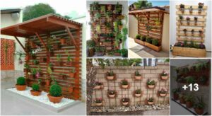 Lee más sobre el artículo 18 ideas para inspirarte a convertir tu pared en un hermoso jardín