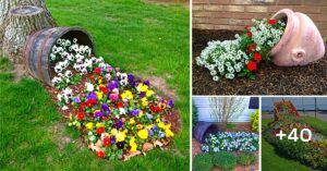 Lee más sobre el artículo 41 impresionantes ideas de jardines florales que alegraran tu espacio al aire libre