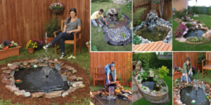 Lee más sobre el artículo 17 ideas para implementar un estanque casero en tu patio trasero