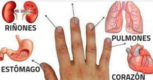 Cada dedo está conectado a dos órganos: aprende a masajearlos y aliviar problemas de salud