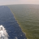 ¿Por que las aguas del Océano Atlántico y Pacífico no se mezclan? La razón te sorprenderá…