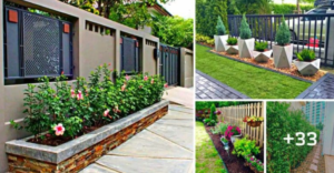 Lee más sobre el artículo 33 hermosas ideas para cercar, decoradas con pequeños jardines que brindan vitalidad a tu hogar