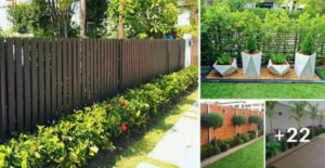 Lee más sobre el artículo 22 ideas de jardineras a lo largo del cerco o pared para embellecer el exterior