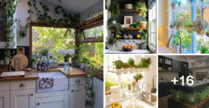 Lee más sobre el artículo 21 ideas de decoración de cocina con plantas