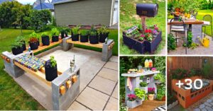 Lee más sobre el artículo 30 ideas brillantes con bloques de cemento para tu jardín