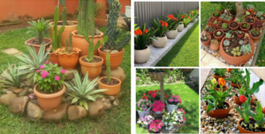 Lee más sobre el artículo 11 buenas ideas para embellecer tu patio o jardín con macetas