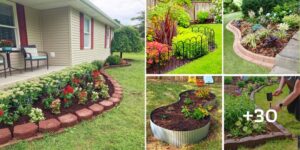 Lee más sobre el artículo 27 ideas sencillas para instalar un jardín en tu patio con poco presupuesto