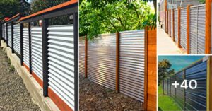 Lee más sobre el artículo 40 ideas de cercas de madera y lámina galvanizada que le agregaran seguridad a tu casa con poco presupuesto