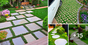 Lee más sobre el artículo 35 ideas de caminos de concreto modernos que le daran vida a tu jardin
