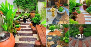 Lee más sobre el artículo 31 ideas para crear un pequeño jardín con piedras y darle estilo a tu espacio exterior