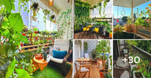 Lee más sobre el artículo 30 brillantes ideas con plantas para maximizar el espacio en tu balcón