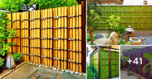 Lee más sobre el artículo Diseña tu jardín de ensueño con estas 41 hermosas ideas de cercas de bambú